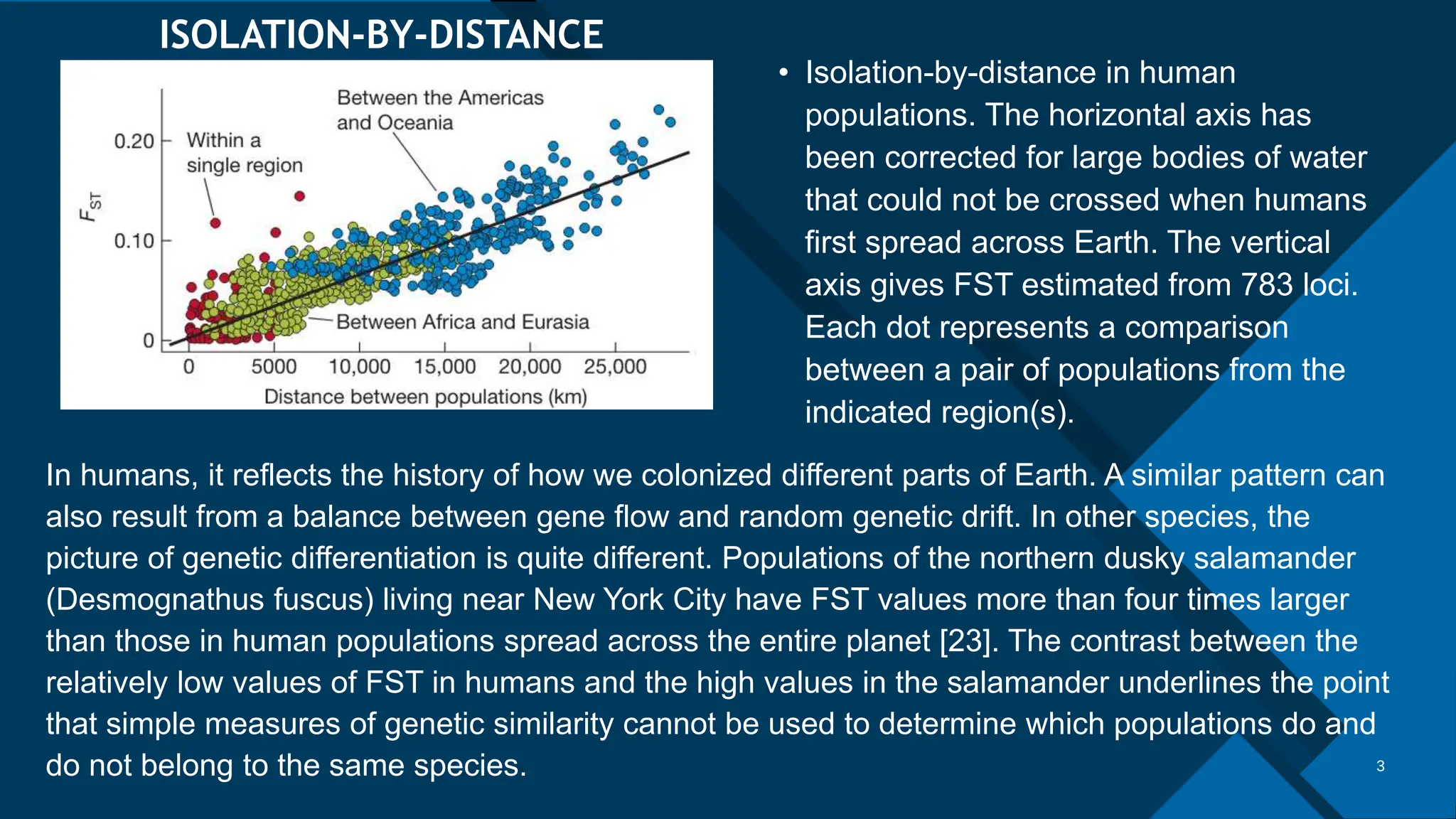 Click to edit Master title style
‹#›
3
• Isolation-by-distance in human
populations. The horizontal axis has
been corrected for large bodies of water
that could not be crossed when humans
first spread across Earth. The vertical
axis gives FST estimated from 783 loci.
Each dot represents a comparison
between a pair of populations from the
indicated region(s).
ISOLATION-BY-DISTANCE
In humans, it reflects the history of how we colonized different parts of Earth. A similar pattern can
also result from a balance between gene flow and random genetic drift. In other species, the
picture of genetic differentiation is quite different. Populations of the northern dusky salamander
(Desmognathus fuscus) living near New York City have FST values more than four times larger
than those in human populations spread across the entire planet [23]. The contrast between the
relatively low values of FST in humans and the high values in the salamander underlines the point
that simple measures of genetic similarity cannot be used to determine which populations do and
do not belong to the same species.
 