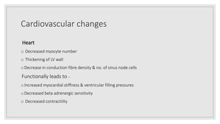 Cardiovascular changes
Heart
o Decreased myocyte number
o Thickening of LV wall
oDecrease in conduction fibre density & no. of sinus node cells
Functionally leads to –
oIncreased myocardial stiffness & ventricular filling pressures
oDecreased beta adrenergic sensitivity
o Decreased contractility
 