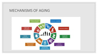 MECHANISMS OF AGING
 