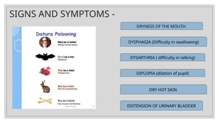SIGNS AND SYMPTOMS -
DRYNESS OF THE MOUTH
DYSPHAGIA (Difficulty in swallowing)
DYSARTHRIA ( difficulty in talking)
DIPLOPIA (dilation of pupil)
DRY HOT SKIN
DISTENSION OF URINARY BLADDER
 
