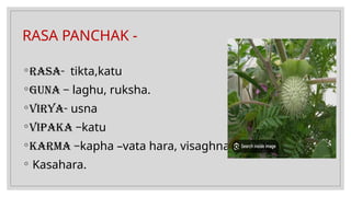 RASA PANCHAK -
◦RASA- tikta,katu
◦Guna – laghu, ruksha.
◦Virya- usna
◦Vipaka –katu
◦Karma –kapha –vata hara, visaghna,
◦ Kasahara.
 