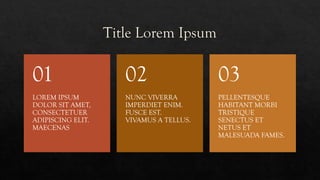 Title Lorem Ipsum
LOREM IPSUM
DOLOR SIT AMET,
CONSECTETUER
ADIPISCING ELIT.
MAECENAS
01
NUNC VIVERRA
IMPERDIET ENIM.
FUSCE EST.
VIVAMUS A TELLUS.
02
PELLENTESQUE
HABITANT MORBI
TRISTIQUE
SENECTUS ET
NETUS ET
MALESUADA FAMES.
03
 