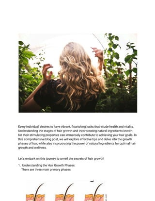 Every individual desires to have vibrant, flourishing locks that exude health and vitality.
Understanding the stages of hair growth and incorporating natural ingredients known
for their stimulating properties can immensely contribute to achieving your hair goals. In
this comprehensive blog post, we will explore effective tips and delve into the growth
phases of hair, while also incorporating the power of natural ingredients for optimal hair
growth and wellness.
Let's embark on this journey to unveil the secrets of hair growth!
1. Understanding the Hair Growth Phases:
There are three main primary phases
 