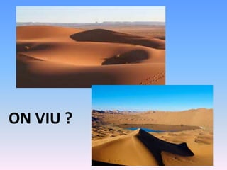 ON VIU ?
 