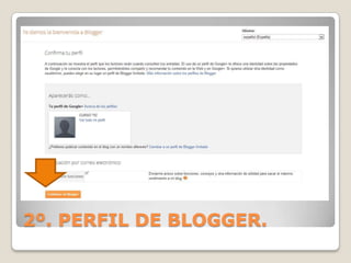 2º. PERFIL DE BLOGGER.

 