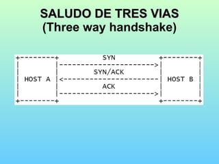 SALUDO DE TRES VIAS (Three way handshake) 