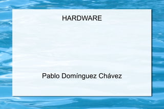 HARDWARE




Pablo Domínguez Chávez
 