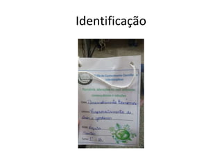 Identificação
 