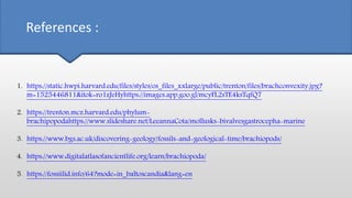 References :
1. https://static.hwpi.harvard.edu/files/styles/os_files_xxlarge/public/trenton/files/brachconvexity.jpg?
m=1525446811&itok=ro1zJeHyhttps://images.app.goo.gl/mcyFL2sTE4ksTqfQ7
2. https://trenton.mcz.harvard.edu/phylum-
brachipopodahttps://www.slideshare.net/LeeannaCota/mollusks-bivalvesgastrocepha-marine
3. https://www.bgs.ac.uk/discovering-geology/fossils-and-geological-time/brachiopods/
4. https://www.digitalatlasofancientlife.org/learn/brachiopoda/
5. https://fossiilid.info/64?mode=in_baltoscandia&lang=en
 