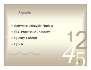 SLC Process for Software Development & Quality Control | PDF