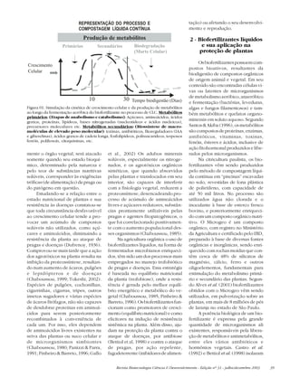Revista Biotecnologia Ciência & Desenvolvimento - Edição nº 31 - julho/dezembro 2003 39
mente o órgão vegetal, será atacado
somente quando seu estado bioquí-
mico, determinado pela natureza e
pelo teor de substâncias nutritivas
solúveis, corresponder às exigências
tróficas (de alimentação) da praga ou
do patógeno em questão.
Estudando-se a relação entre o
estado nutricional de plantas e sua
resistência às doenças constatou-se
que toda circunstância desfavorável
ao crescimento celular tende a pro-
vocar um acúmulo de compostos
solúveis não utilizados, como açú-
cares e aminoácidos, diminuindo a
resistência da planta ao ataque de
pragas e doenças (Dufrenoy, 1936).
Comprovou-se mais tarde que a ação
dos agrotóxicos na planta resulta na
inibição da proteossíntese, resultan-
do num aumento de ácaros, pulgões
e lepidópteros e de doenças
(Chaboussou, 1999; Tokeshi, 2002).
Espécies de pulgões, cochonilhas,
cigarrinhas, cigarras, tripes, outros
insetos sugadores e várias espécies
de ácaros fitófagos, não são capazes
de desdobrar proteínas em aminoá-
cidos para serem posteriormente
recombinados à conveniência de
cada um. Por isso, eles dependem
de aminoácidos livres existentes na
seiva das plantas ou suco celular e
de microrganismos simbiontes
(Chaboussou, 1980; Panizzi & Parra,
1991; Pinheiro & Barreto, 1996; Gallo
et al., 2002) Os adubos minerais
solúveis, especialmente os nitroge-
nados, e os agrotóxicos orgânicos
sintéticos, que quando absorvidos
pelas plantas e translocados em seu
interior, são capazes de interferir
com a fisiologia vegetal, reduzem a
proteossíntese, desencadeando pro-
cesso de acúmulo de aminoácidos
livres e açúcares redutores, substân-
cias prontamente utilizáveis pelas
pragas e agentes fitopatogênicos, o
que foi correlacionado positivamen-
te com o aumento populacional des-
ses organismos (Chaboussou, 1985).
Na agricultura orgânica o uso de
biofertilizantes líquidos, na forma de
fermentados microbianos enriqueci-
dos, têm sido um dos processos mais
empregados no manejo trofobiótico
de pragas e doenças. Essa estratégia
é baseada no equilíbrio nutricional
da planta (trofobiose), onde a resis-
tência é gerada pelo melhor equilí-
brio energético e metabólico do ve-
getal (Chaboussou, 1985; Pinheiro &
Barreto,1996).Osbiofertilizantesfun-
cionam como promotores de cresci-
mento (equilíbrio nutricional) e como
elicitores na indução de resistência
sistêmica na planta. Além disso, aju-
dam na proteção da planta contra o
ataque de doenças, por antibiose
(Bettiol et al, 1998) e contra o ataque
de pragas, por ação repelente,
fagodeterrente (inibidores de alimen-
tação) ou afetando o seu desenvolvi-
mento e reprodução.
2 - Biofertilizantes líquidos
e sua aplicação na
proteção de plantas
Osbiofertilizantespossuemcom-
postos bioativos, resultantes da
biodigestão de compostos orgânicos
de origem animal e vegetal. Em seu
conteúdo são encontradas células vi-
vas ou latentes de microrganismos
demetabolismoaeróbico,anaeróbico
e fermentação (bactérias, leveduras,
algas e fungos filamentosos) e tam-
bém metabólitos e quelatos organo-
minerais em soluto aquoso. Segundo
Santos & Akiba (1996), os metabólitos
sãocompostosdeproteínas,enzimas,
antibióticos, vitaminas, toxinas,
fenóis, ésteres e ácidos, inclusive de
ação fitohormonal produzidos e libe-
rados pelos microrganismos.
Na citricultura paulista, os bio-
fertilizantes vêm sendo produzidos
pelo método de compostagem líqui-
da contínua em “piscinas” escavadas
no solo, revestidas de lona plástica
de polietileno, com capacidade de
até 50 mil litros. No processo são
utilizados água não clorada e o
inoculante à base de esterco fresco
bovino, e posteriormente enriqueci-
do com um composto orgânico nutri-
tivo. O Microgeo é um composto
orgânico, com registro no Ministério
da Agricultura e certificado pelo IBD,
preparado à base de diversas fontes
orgânicas e inorgânicas, sendo enri-
quecido com rochas moídas que con-
têm cerca de 48% de silicatos de
magnésio, cálcio, ferro e outros
oligoelementos, fundamentais para
estimulação do metabolismo primá-
rio e secundário das plantas. Segun-
do Alves et al. (2001) biofertilizantes
obtidos com o Microgeo vêm sendo
utilizados, em pulverização sobre as
plantas, em mais de 8 milhões de pés
de laranja no estado de São Paulo.
A potência biológica de um bio-
fertilizante é expressa pela grande
quantidade de microrganismos ali
existentes, responsáveis pela libera-
ção de metabólitos e antimetabólitos,
entre eles vários antibióticos e
hormônios vegetais. Castro et al.
(1992) e Bettiol et al. (1998) isolaram
Figura 01. Simulação da cinética de crescimento celular e da produção de metabólitos
ao longo da fermentação aeróbica do biofertilizante no processo de CLC. Metabólitos
primários: (Etapas de anabolismo e catabolismo): Açúcares, aminoácidos, ácidos
graxos, proteínas, lipídeos, bases nitrogenadas (nucleotídeos e ácidos nucleicos),
precursores moleculares etc. Metabólitos secundários: (Biossíntese de macro-
moléculas de elevado peso molecular): toxinas, antibióticos, fitoreguladores (IAA
e giberelinas), ácidos graxos de cadeia longa, fosfolipídeos, polissacarídeos, terpenos
fenóis, polifenois, citoquininas, etc.
 