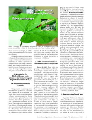 Revista Biotecnologia Ciência & Desenvolvimento - Edição nº 31 - julho/dezembro 2003 41
das as reservas de energia, as células
começam a morrer numa velocidade
exponencial.
Cada microrganismo participan-
te degrada alimento para outro, numa
relação de interdependência mútua e
harmônica e, assim, o processo de
fermentação acaba sendo contínuo,
desde que seja alimentado com meio
nutritivo, o que fundamentou o pro-
cesso de compostagem líquida des-
critoporD’Andréa&Medeiros(2002).
4 - Produção do
biofertilizante pelo
processo de Compostagem
Líquida Contínua (CLC)
4.1 - Dimensionamento da
Produção
Tanques para compostagem do
biofertilizante podem ser utilizados
para volumes de até 1.000 litros, cai-
xas de fibrocimento ou plásticas. Para
volumes maiores constrói-se direta-
mente no solo, ‘piscinas’ com as di-
mensões do volume pretendido, e
com a profundidade máxima de um
metro, as quais são revestidas com
lona plástica. A localização do tanque
deve ser em área ensolarada, manten-
do-o descoberto. Para o dimensiona-
mento do volume do tanque, deverá
ser considerado um consumo diário
máximo de 10% de biofertilizante, da
sua capacidade. Exemplo: Para um
consumo diário de 100 litros de bio-
fertilizante, o tanque deverá ter o
volume de 1.000 litros.
4.2- CLC com uso de esterco e
composto orgânico enriquecido
Início da CLC: Para início da
produção do biofertilizante, adiciona-
se no tanque o esterco fresco de gado
(inoculante), um composto orgânico
enriquecido com minerais (Ex.:
MICROGEO MCO) e água (não
clorada). No caso do Microgeo,
pesquisado e desenvolvido pela equi-
pe do Laboratório de Patologia e Con-
troleMicrobianodaESALQ,opreparo
é feito nas seguintes proporções:1,0
quilo do composto orgânico / 4,0
litrosestercodegado/20,0litroságua
(completando o volume ). Exemplo:
Para a produção de 1.000 litros de
biofertilizante, adiciona-se no tanque
50 quilos do composto,mais 200 litros
de esterco de gado de qualquer ori-
gem, completando com água o
volume de 1.000 litros do tanque.
Agitar duas vezes ao dia manualmen-
te com um ‘rodo’, que também permi-
tirádeterminaraespessuradacamada
orgânica (biomassa) depositada no
fundodotanque,comoobjetivodese
quantificar a reposição do esterco de
gado no processo CLC. Iniciar o uso
do biofertilizante com aproximada-
mente 15 dias, após a mistura inicial
dos insumos. Manutenção da CLC:
Para manter a compostagem em meio
líquidodeformacontínua,contabilizar
diariamente os volumes de biofertili-
zanteconsumidosrepondonotanque
os insumos nas seguintes proporções:
a) Reposição do composto orgânico:
para cada 30,0 a 40,0 litros de biofer-
tilizante usado, repor 1,0 quilo do
composto/inoculante. O intervalo de
reposição poderá ser semanal até
mensal, ou seja, intervalos menores
quanto maior o volume de biofertili-
zanteutilizado.b)Reposiçãodoester-
co de gado: adicionar um volume de
esterco de gado (fresco) suficiente
para manter a mesma proporção
biomassa/ água do início do proces-
so, sempre quando se verificar com
ajuda do ‘rodo’ a diminuição da cama-
da orgânica no fundo do tanque. c)
Reposição da água:está em função do
volume de biofertilizante consumido,
da evaporação e das chuvas. O volu-
me de água a ser adicionado deverá
ser o suficiente para a manutenção do
nível inicial do tanque. A freqüência
de reposição poderá ser diária, usan-
do-se registro bóia ou até mensal,
também em função do volume de
biofertilizanteusado.Nosperíodosde
chuvas, recomenda-se fechar os tan-
ques de até 1.000 litros nos momentos
deocorrênciadelas.Manterdescober-
tos os tanques maiores de 1.000 litros,
retirando para uso posterior o volume
do biofertilizante que eventualmente
poderá transbordar, armazenando-o
em tambores. É importante sempre
manter as proporções de composto
inoculante e esterco de gado, descri-
tas acima, evitando o uso do bioferti-
lizantemuitodiluído(Microbiol,2001;
D’Andréa & Medeiros, 2002).
5 - Recomendações de uso
Segundo Pinheiro & Barreto
(1996), devido aos elevados efeitos
hormonais e altos teores das substân-
cias sintetizadas, o uso de biofertili-
zantes em pulverizações foliares nor-
malmente são feitos com diluições
entre 0,1 e 5%. Concentrações maio-
res, entre 20 e 50%, foram utilizadas
por Santos & Akiba (1996) com o
Figura 3. Detalhes do experimento utilizando-se ácaros de B. phoenicis criados em
arena, sobre a folha a planta de Canavalia ensiformis. Fonte: Medeiros (2002)
 