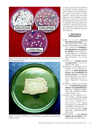 Revista Biotecnologia Ciência & Desenvolvimento - Edição nº 31 - julho/dezembro 2003 43
Figura 5. Crescimento do fungo entomopatogênico Beauveria bassiana em meio
de biofertilizante líquido
Figura 6. Leveduras isoladas de um biofertilizante produzido por compostagem
líquida contínua
xo custo e capazes de serem aplicados
na atividade produtiva primária, em
cultivosorgânicos,representaumgran-
de avanço na preservação do meio
ambiente. Contudo, serão necessários
alguns anos de investigação e desen-
volvimento, para que se produzam
metodologias de elevado alcance soci-
al, e grandes esforços no sentido de se
consolidar o emprego desses proces-
sos bioquímicos como forma de se
promoverasustentabilidadedosambi-
entes agrícolas.
7 - Referências
bibliográficas
ALVES, S. B. (Ed.). Controle
Microbiano dos Insetos. 2a
ed.
Piracicaba: FEALQ, 1998. 1163p.
ALVES,S.B.;MEDEIROS,M.B.;TAMAI,
M. A.; LOPES, R. B. Trofobiose e
microrganismos na proteção
de plantas: Biofertilizantes e
entomopatógenos na citricultura
orgânica. Biotecnologia Ciência e
Desenvolvimento, v. 21. p. 16-21.
2001.
AZEVEDO, J. L. Genética de mi-
crorganismos. Piracicaba:
FEALQ, 1998. 490p.
BERZAGHI, L. M; MEDEIROS, M. B.;
GARCIA, M. O. TAMAI, M. A.;
ALVES, S. B. Efeito do bioferti-
lizante na fecundidade do
ácaro T. urticae. In: SIMPÓSIO
INTERNACIONAL DE INICIA-
ÇÃO CIENTÍFICA DA USP, 9.
Anais. ESALQ/USP: Piracicaba
2001
BETTIOL, W.; TRATCH, R.; GALVÃO,
J. A. H. Controle de doenças de
plantas com biofertilizantes.
Jaguariúna: EMBRAPA-CNPMA.
1998. 22p (EMBRAPA-CNPMA:
Circular Técnica, 02).
CASTRO, C.M. DE; SANTOS, A.C.V.
DOS; AKIBA, F. Bacillus subtilis
isolado do biofertilizante “Vairo”
com ação fungistática e
bacteriostática em alguns
fitopatógenos. In: SIMPÓSIO DE
CONTROLE BIOLÓGICO, 3.,
1992, Águas de Lindóia. Anais.
Jaguariúna: EMBRAPA-CNPDA.
1992. p.291.
CHABOUSSOU, F. Les Plantes
Malades des Pesticides. Paris:
Editions Débard, 1980. 265p.
 