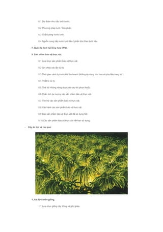 6.1 Dự đoán nhu cầu tưới nước.
6.2 Phương pháp tưới / bón phân.
6.3 Chất lượng nước tưới.
6.4 Nguồn cung cấp nước tưới tiêu / phân bón theo tưới tiêu.
7. Quản lý dịch hại tổng hợp (IPM).
8. Sản phẩm bảo vệ thực vật.
8.1 Lựa chọn sản phẩm bảo vệ thực vật.
8.2 Ghi chép các lần xử lý.
8.3 Thời gian cách ly trước khi thu hoạch (không áp dụng cho hoa và phụ liệu trang trí ).
8.4 Thiết bị xử lý.
8.5 Thải bỏ những nông dược dư sau khi phun thuốc.
8.6 Phân tích dư lượng các sản phẩm bảo vệ thực vật.
8.7 Tồn trữ các sản phẩm bảo vệ thực vật.
8.8 Vận hành các sản phẩm bảo vệ thực vật.
8.9 Bao sản phẩm bảo vệ thực vật đã sử dụng hết.
8.10 Các sản phẩm bảo vệ thực vật hết hạn sử dụng.
- Cây ăn trái và rau quả:
1. Vật liệu nhân giống.
1.1 Lựa chọn giống cây trồng và gốc ghép.
 