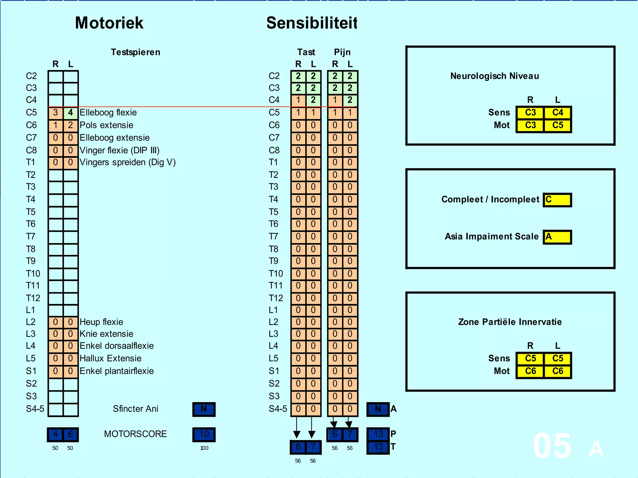 Tiêu chuẩn quốc tế về phân loại thần kinh học TTTS | PPT
