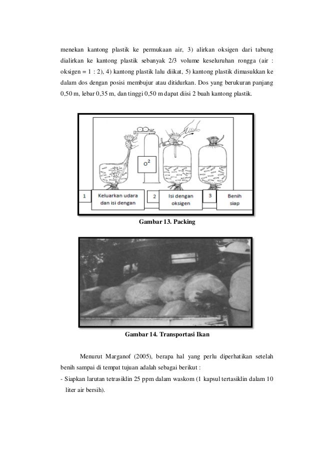 USAHA BUDIDAYA IKAN PATIN (Pangasius pangasius) DI KERAMBA 
