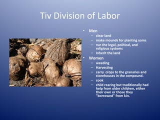 Tiv Division of Labor
           •   Men
               – clear land
               – make mounds for planting yams
               – run the legal, political, and
                 religious systems
               – Inherit the land
           •   Women
               – weeding
               – Harvesting
               – carry crops to the granaries and
                 storehouses in the compound.
               – cook
               – child rearing but traditionally had
                 help from older children, either
                 their own or those they
                 "borrowed" from kin.
 