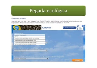 Pegada ecológica
 