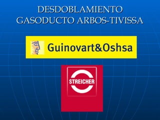 DESDOBLAMIENTO GASODUCTO ARBOS-TIVISSA 