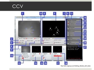 CCV http://wiki.nuigroup.com/Getting_Started_with_tbeta 