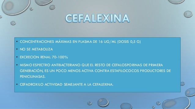 Buy prednisolone acetate