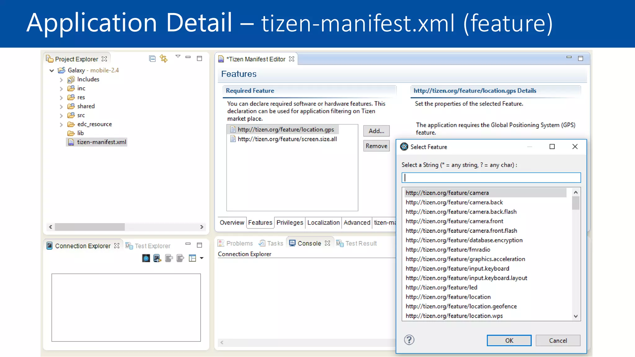 Application Detail – tizen-manifest.xml (feature)
 