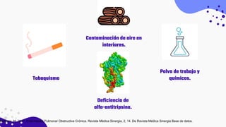 Tabaquismo
Contaminación de aire en
interiores.
Polvo de trabajo y
químicos.
Deficiencia de
alfa-antitripsina.
Barboza, M. 2017. Enfermedad Pulmonar Obstructiva Crónica. Revista Médica Sinergia, 2, 14. De Revista Médica Sinergia Base de datos.
 