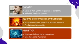 10%
10%
60%
20%
12% 36%
24%
 