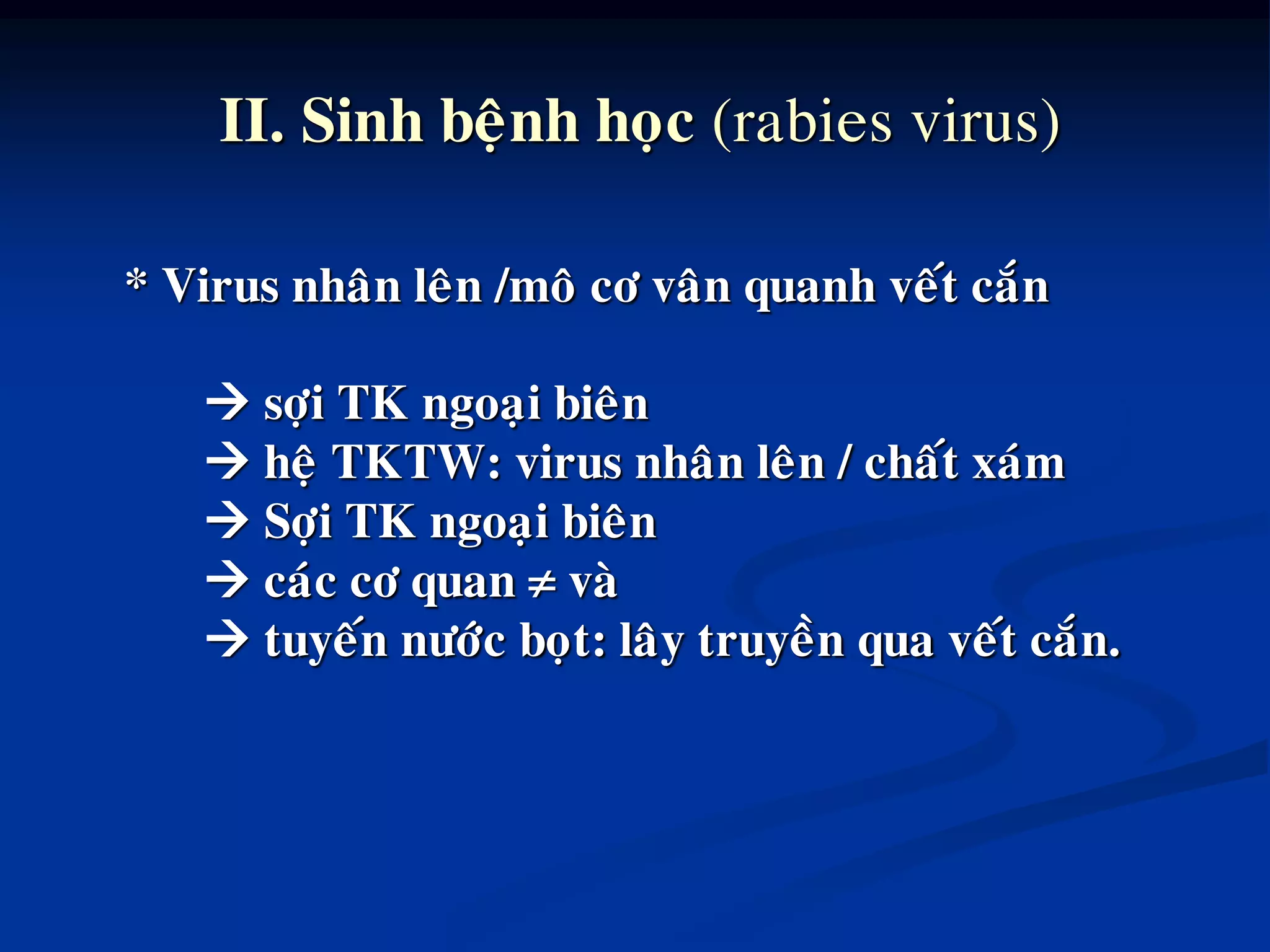 Rabies virus mientayvn.com