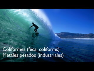 Coliformes (fecal coliforms)
Metales pesados (industriales)