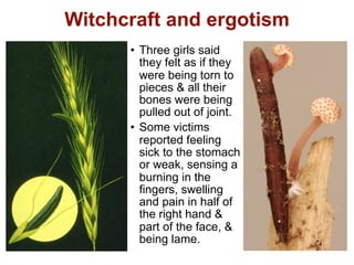 Witchcraft and ergotism
      • Three girls said
        they felt as if they
        were being torn to
        pieces & all their
        bones were being
        pulled out of joint.
      • Some victims
        reported feeling
        sick to the stomach
        or weak, sensing a
        burning in the
        fingers, swelling
        and pain in half of
        the right hand &
        part of the face, &
        being lame.
 