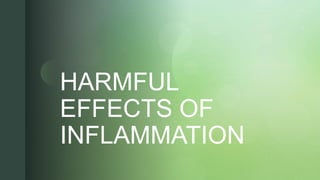 z
z
HARMFUL
EFFECTS OF
INFLAMMATION
 