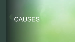 z
zCAUSES
 