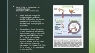 zz
FIRST STEP IN INFLAMMATION
(RECOGNITION OF
MICROBES/DAMAGED CELLS)
1. Innate immunity recognizes
foreign antigens (microbes)
through receptors on the plasma
membranes of epithelial cells,
dendritic cells, macrophages and
leucocytes
2. Recognition of tissue damage is
through factors that are released
after damage, such as – uric acid
released after DNA break down,
ATP – due to mitochondria
damage. These and such
products activate what are called
inflammasomes (cystosolic
complexes) that release IL-1. This
IL-1 is thought to be responsible
for gout and ATH.
 