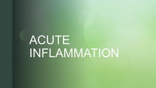 z
z
ACUTE
INFLAMMATION
 