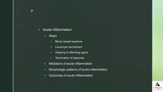 z
 Acute inflammation
 Steps
 Blood vessel reactions
 Leucocyte recruitment
 Clearing of offending agent
 Termination of response
 Mediators of acute inflammation
 Morphologic patterns of acute inflammation
 Outcomes of acute inflammation
 