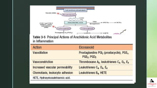 z
B. ARACHIDONIC ACID METABOLITES – PROSTAGLANDINS AND
LEUKOTRIENES
 The lipid mediators prostaglandins and leukotrienes are
produced from arachidonic acid (AA) present in membrane
phospholipids
MEDIATORS OF ACUTE INFLAMMATION
 