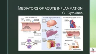 z
C. Cytokines
MEDIATORS OF ACUTE INFLAMMATION
 