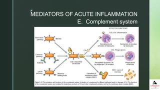 z
E. Complement system
MEDIATORS OF ACUTE INFLAMMATION
 