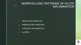 z
MORPHOLOGIC PATTERNS OF ACUTE
INFLAMMATION
1. SEROUS INFLAMMATION
2. FIBRINOUS INFLAMMATION
3. PURULENT INFLAMMATION
4. ULCERS
 