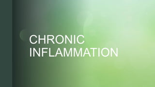 z
z
CHRONIC
INFLAMMATION
 