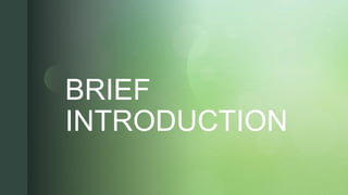 z
zBRIEF
INTRODUCTION
 