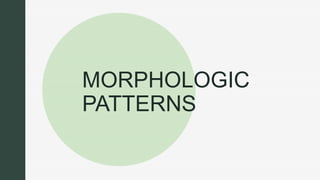 z
z
MORPHOLOGIC
PATTERNS
 
