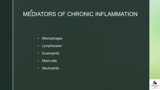 z
MEDIATORS OF CHRONIC INFLAMMATION
 Macrophages
 Lymphocytes
 Eosinophils
 Mast cells
 Neutrophils
 