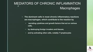 z
 The dominant cells in most chronic inflammatory reactions
are macrophages, which contribute to the reaction by
 secreting cytokines and growth factors that act on various
cells,
 by destroying foreign invaders and tissues,
 and by activating other cells, notably T lymphocytes
Macrophages
MEDIATORS OF CHRONIC INFLAMMATION
 