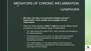 z
 Microbes and other environmental antigens activate T
lymphocytes, which amplify and propagate chronic
inflammation
 There are three subsets of CD4+ T cells that secrete different types
of cytokines and elicit different types of inflammation.
 TH1 cells produce the cytokine IFN-γ, which activates macrophages by
the classical pathway.
 TH2 cells secrete IL-4, IL-5, and IL-13, which recruit and activate
eosinophils and are responsible for the alternative pathway of
macrophage activation.
 TH17 cells secrete IL-17 and other cytokines, which induce the
secretion of chemokines responsible for recruiting neutrophils (and
monocytes) into the reaction.
Lymphocytes
MEDIATORS OF CHRONIC INFLAMMATION
 