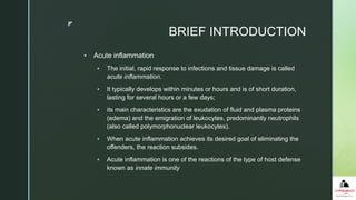 z
BRIEF INTRODUCTION
 Acute inflammation
 The initial, rapid response to infections and tissue damage is called
acute inflammation.
 It typically develops within minutes or hours and is of short duration,
lasting for several hours or a few days;
 its main characteristics are the exudation of fluid and plasma proteins
(edema) and the emigration of leukocytes, predominantly neutrophils
(also called polymorphonuclear leukocytes).
 When acute inflammation achieves its desired goal of eliminating the
offenders, the reaction subsides.
 Acute inflammation is one of the reactions of the type of host defense
known as innate immunity
 