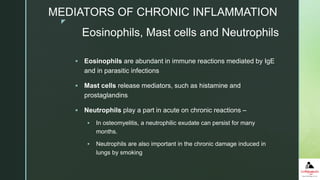 z
 Eosinophils are abundant in immune reactions mediated by IgE
and in parasitic infections
 Mast cells release mediators, such as histamine and
prostaglandins
 Neutrophils play a part in acute on chronic reactions –
 In osteomyelitis, a neutrophilic exudate can persist for many
months.
 Neutrophils are also important in the chronic damage induced in
lungs by smoking
Eosinophils, Mast cells and Neutrophils
MEDIATORS OF CHRONIC INFLAMMATION
 