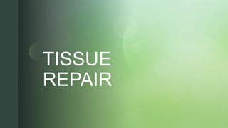 z
zTISSUE
REPAIR
 