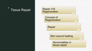 z
z
Tissue Repair Repair V/S
Regeneration
Concept of
Regeneration
Repair
Skin wound healing
Abnormalities in
tissue repair
 